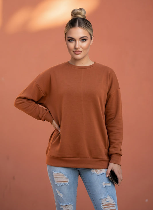 ROUND NECK SWEATSHIRTS | almond | sizes up to 3XL |